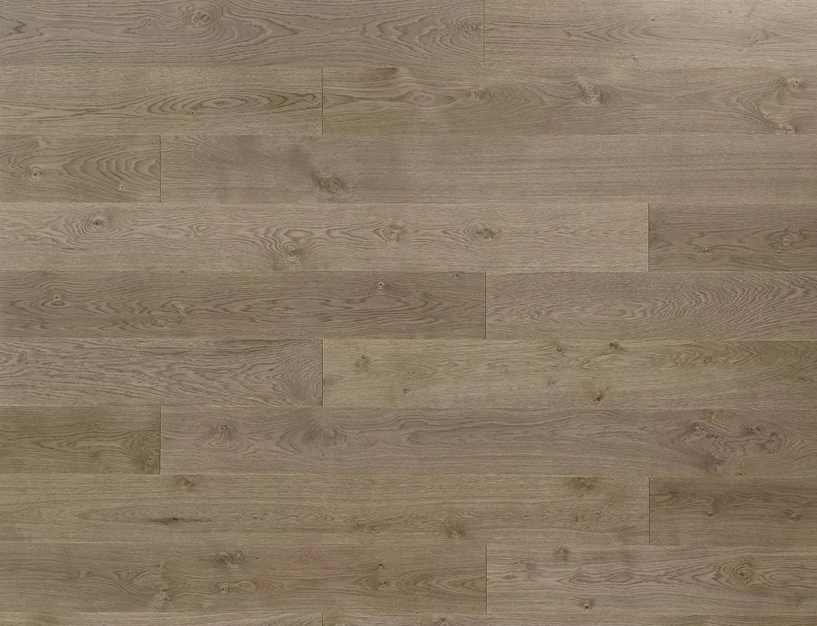 Biscuit Grey Color