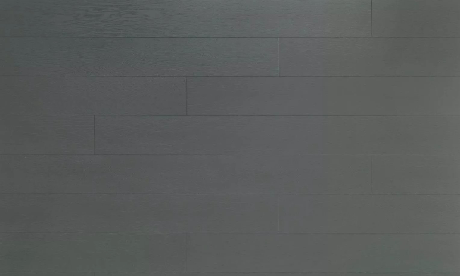 Eucalyptus Color