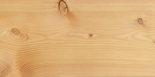 Canadian Larch