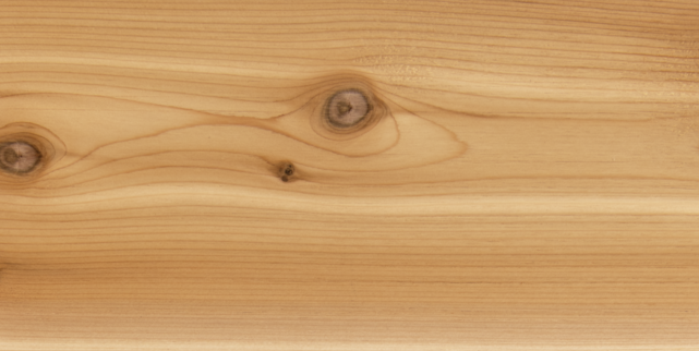 Canadian Cedar