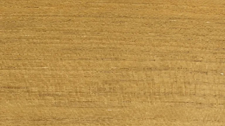 Asian Teak